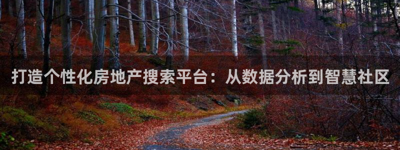 风暴娱乐老板：打造个性化房地产搜索平台：从数据分析到智慧社区