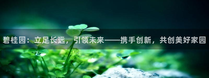 风暴娱乐图片：碧桂园：立足长远，引领未来——携手创新，共创美