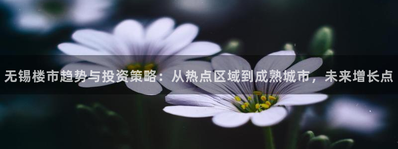 娱乐风暴合集：无锡楼市趋势与投资策略：从热点区域到成熟城市，