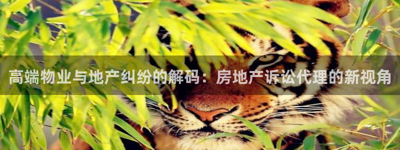 风暴娱乐官方网站：高端物业与地产纠纷的解码：房地产诉讼代理的