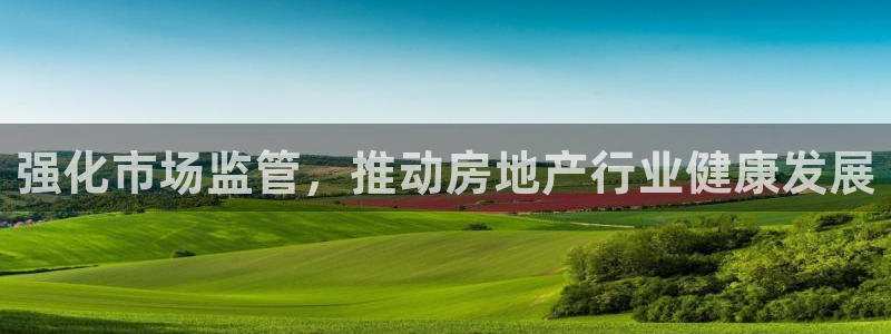 风暴娱乐 平台首页：强化市场监管，推动房地产行业健康发展