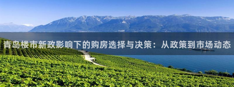 娱乐风暴App：青岛楼市新政影响下的购房选择与决策：从政策到