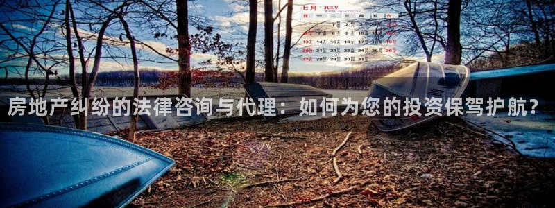风暴娱乐登录网址：房地产纠纷的法律咨询与代理：如何为您的投资