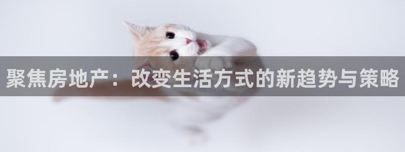风暴英雄娱乐：聚焦房地产：改变生活方式的新趋势与策略