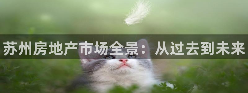 风暴娱乐下5指尖：苏州房地产市场全景：从过去到未来