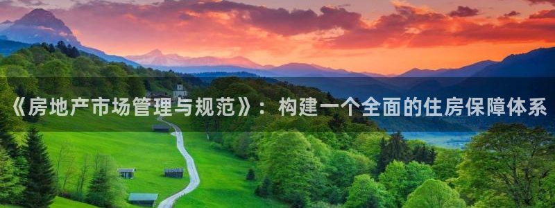 娱乐风暴2：《房地产市场管理与规范》：构建一个全面的住房保障