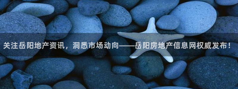 风暴娱乐汇：关注岳阳地产资讯，洞悉市场动向——岳阳房地产信息