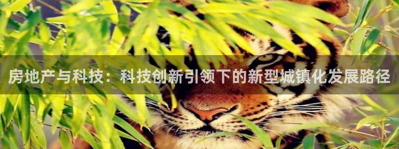风暴娱乐 风暴注册平台：房地产与科技：科技创新引领下的新型城