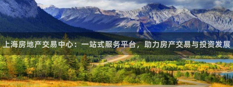 风暴娱乐40996：上海房地产交易中心：一站式服务平台，助力