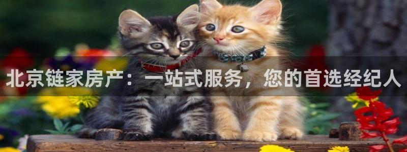 菲律宾风暴娱乐集团