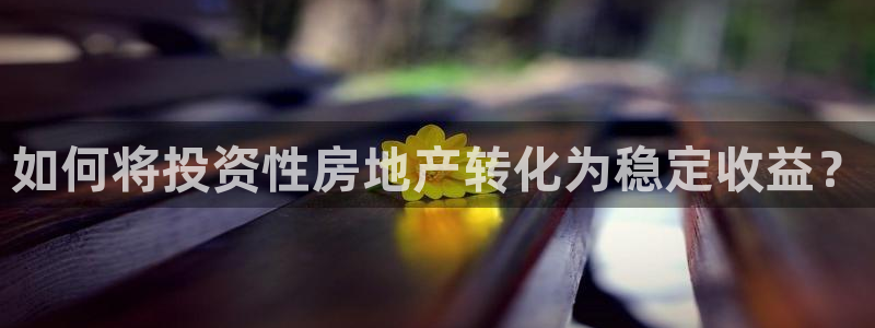 娱乐风暴港