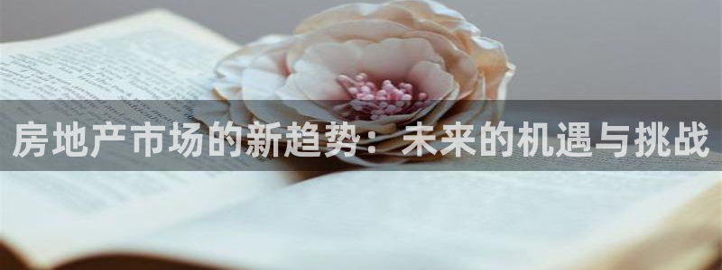 风暴平娱乐：房地产市场的新趋势：未来的机遇与挑战