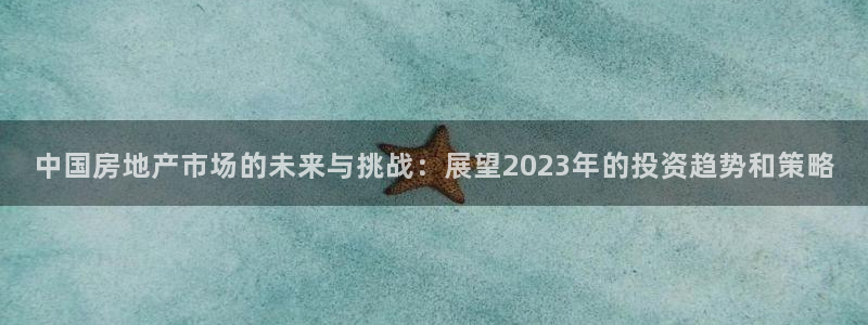 风暴娱乐乃六七五一38：中国房地产市场的未来与挑战：展望20