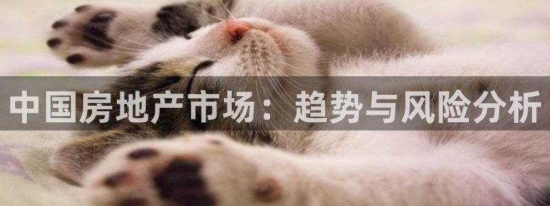 4120051风暴娱乐
