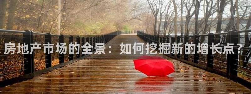 菲律宾风暴娱乐集团：房地产市场的全景：如何挖掘新的增长点？