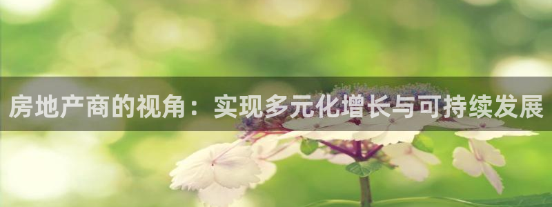 风暴娱乐求333OOf：房地产商的视角：实现多元化增长与可持