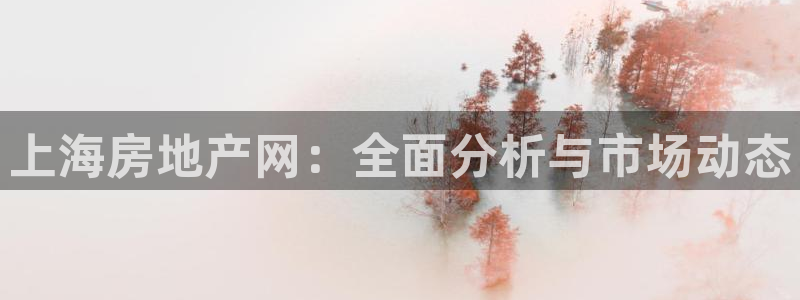 风暴娱乐下5指尖：上海房地产网：全面分析与市场动态