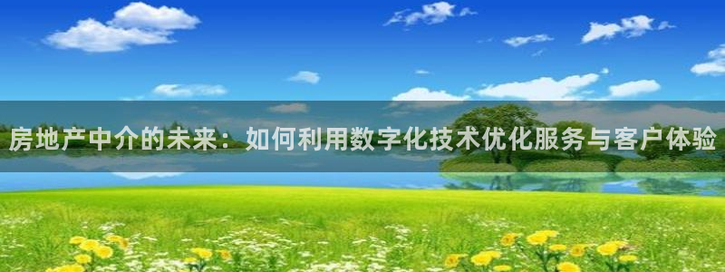 风暴娱乐1：房地产中介的未来：如何利用数字化技术优化服务与客