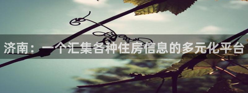 风暴娱乐首页：济南：一个汇集各种住房信息的多元化平台