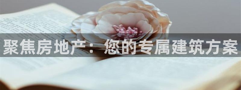 风暴娱乐拉菲8：聚焦房地产：您的专属建筑方案
