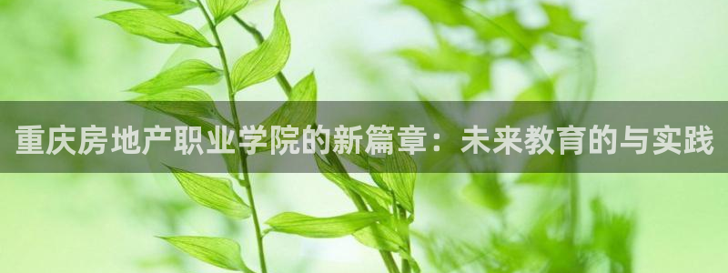 4120051风暴娱乐：重庆房地产职业学院的新篇章：未来教育