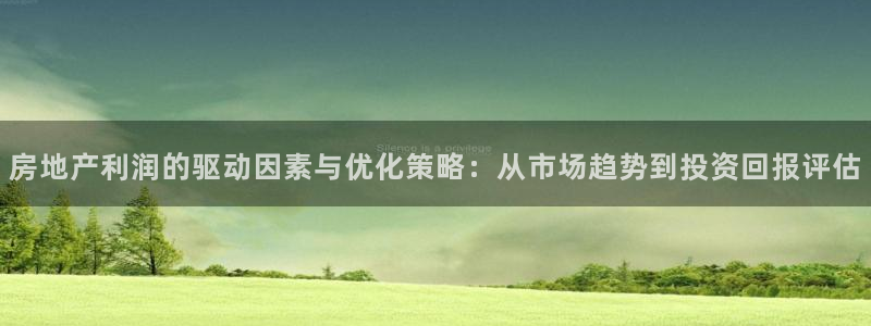 风暴娱乐汇：房地产利润的驱动因素与优化策略：从市场趋势到投资