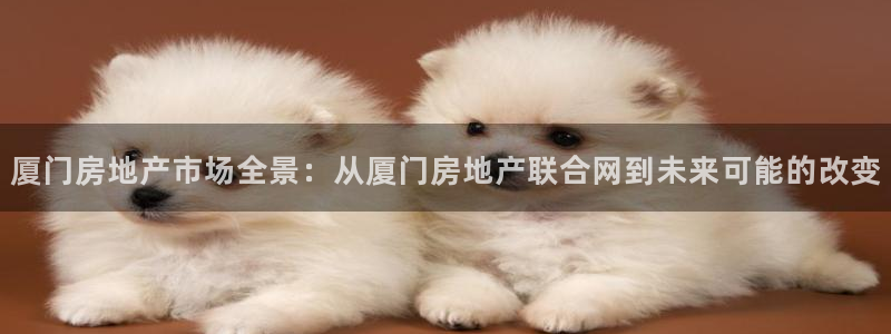 风暴娱乐平台地址：厦门房地产市场全景：从厦门房地产联合网到未