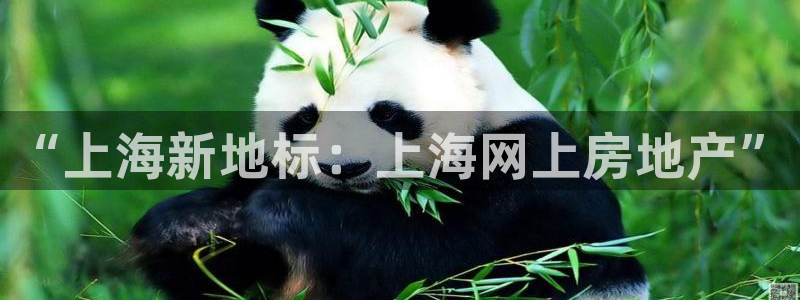 风暴娱乐下5指尖：“上海新地标：上海网上房地产”