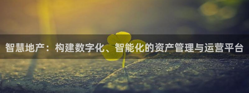 娱乐风暴App：智慧地产：构建数字化、智能化的资产管理与运营