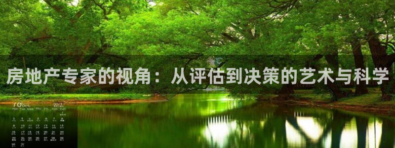 风暴娱乐测速：房地产专家的视角：从评估到决策的艺术与科学