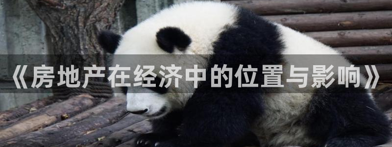 风暴娱乐线路：《房地产在经济中的位置与影响》