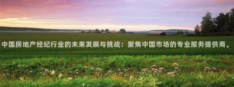 风暴娱乐登录网址：中国房地产经纪行业的未来发展与挑战：聚焦中