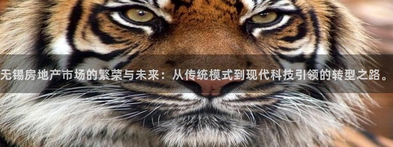 风暴新娱乐：无锡房地产市场的繁荣与未来：从传统模式到现代科技