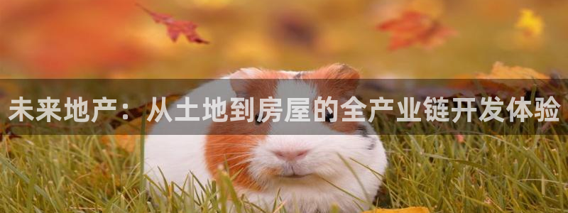万万娱乐风暴：未来地产：从土地到房屋的全产业链开发体验
