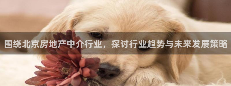 风暴娱乐下载地址：围绕北京房地产中介行业，探讨行业趋势与未来