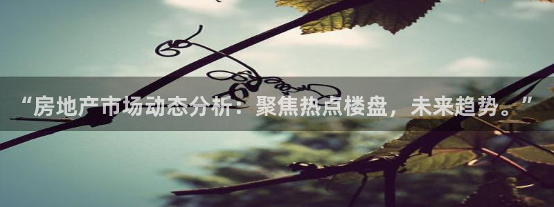 风暴娱乐园：“房地产市场动态分析：聚焦热点楼盘，未来趋势。”